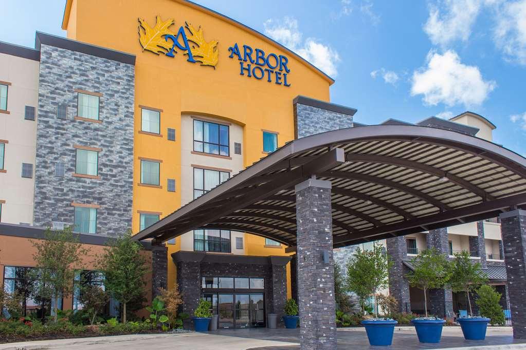 La Quinta Inn & Suites By Wyndham Lubbock Southwest Dış mekan fotoğraf